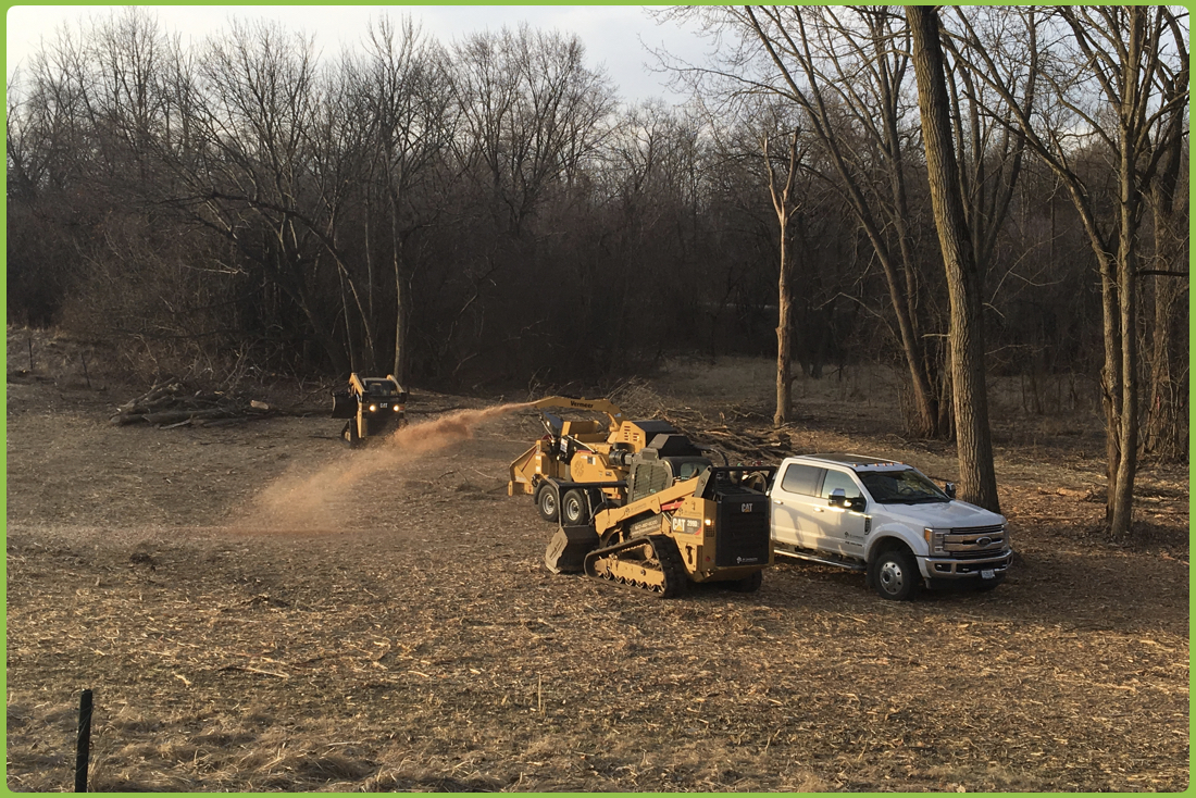 Forest Management and Clearing